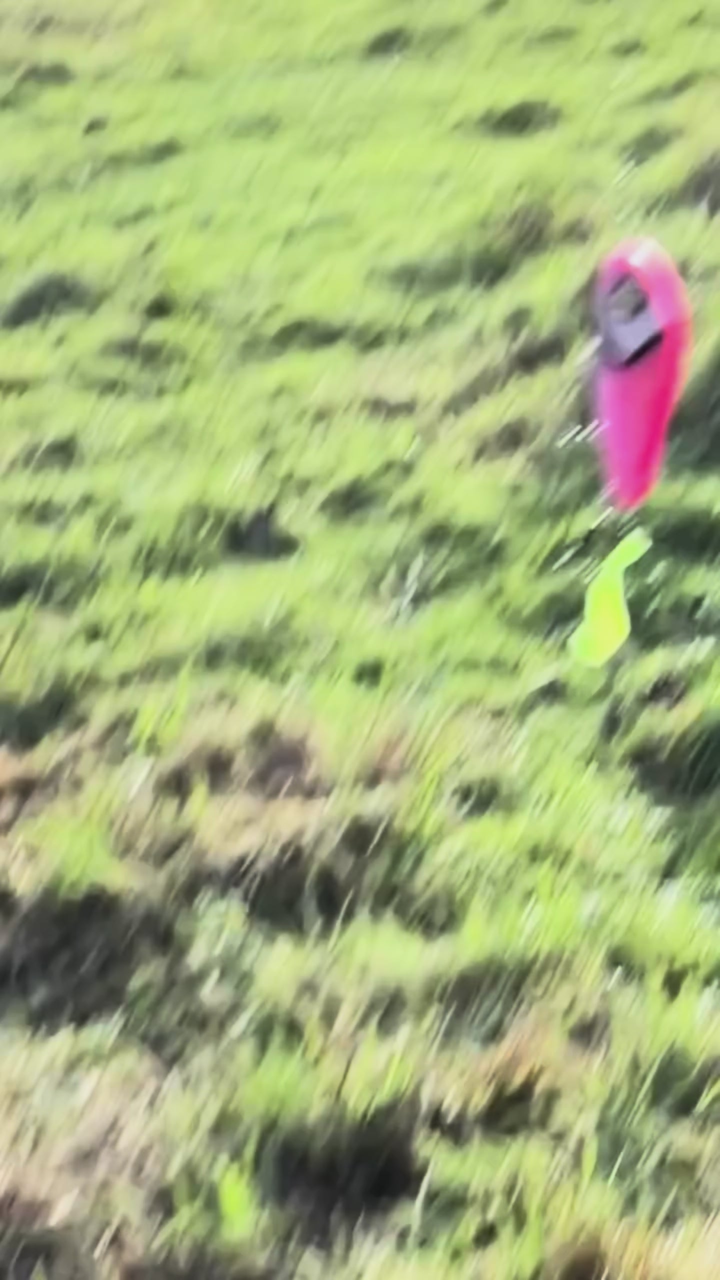 DA-Baits Jerkbait PerchX ( Color 2025 )