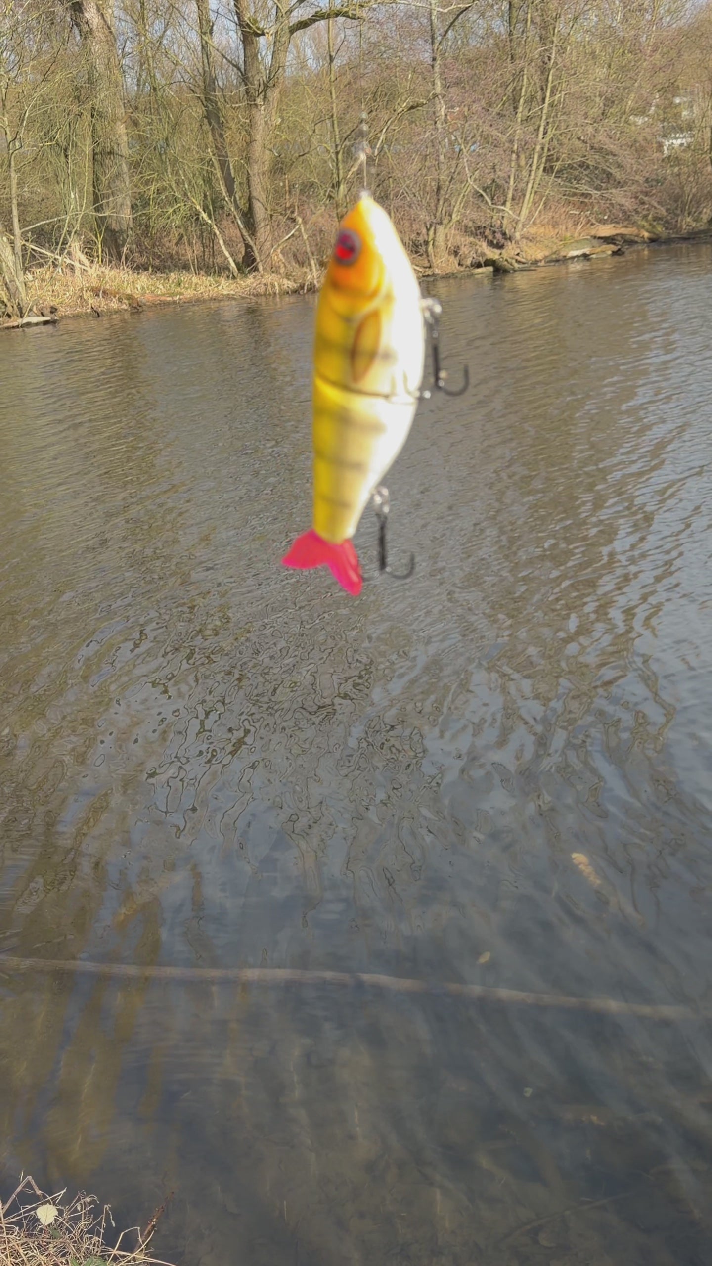 Swimbait Typ: WackleX Typ 1 in Firetiger